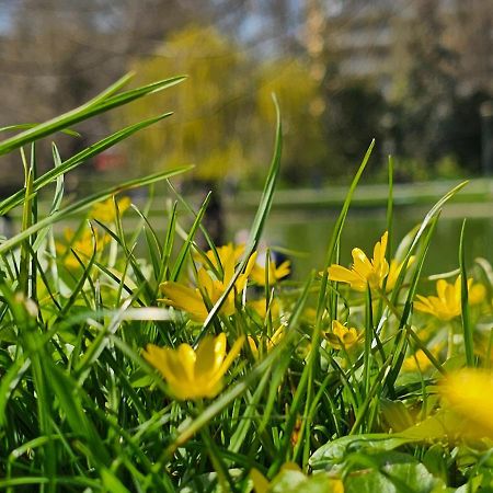 Apartament Central Park Κίελτσε Εξωτερικό φωτογραφία